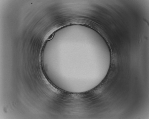 X0000103470803200809261903