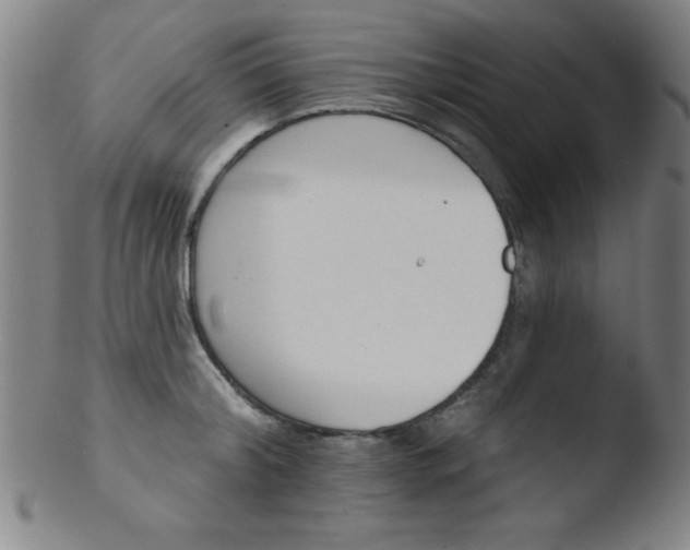 X0000103470804200809261903