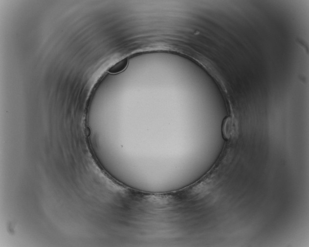 X0000103470805200809261903