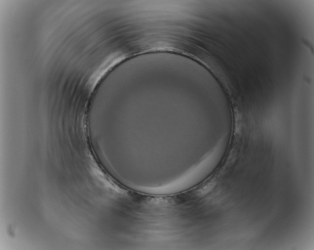 X0000103470806200809261903