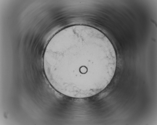 X0000103470807200809261903