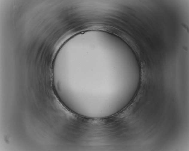 X0000103470808200809261903