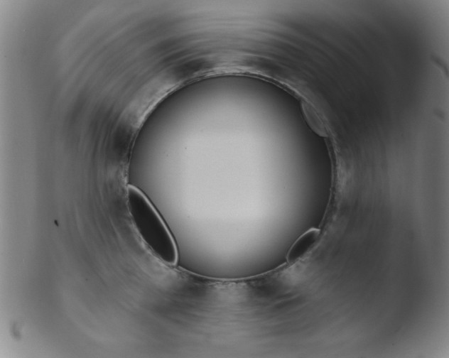 X0000103470809200809261903