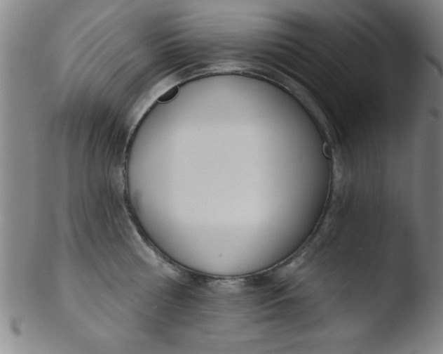 X0000103470810200809261903