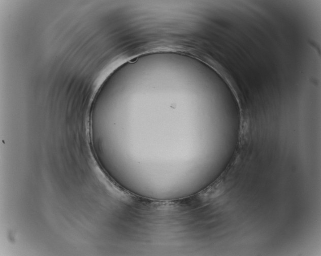 X0000103470811200809261903