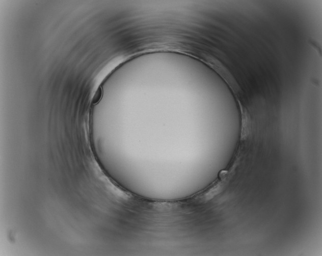 X0000103470812200809261903