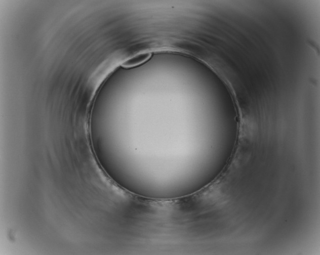 X0000103470813200809261903