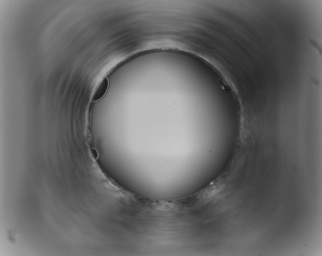 X0000103470815200809261903