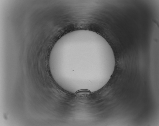 X0000103470817200809261902