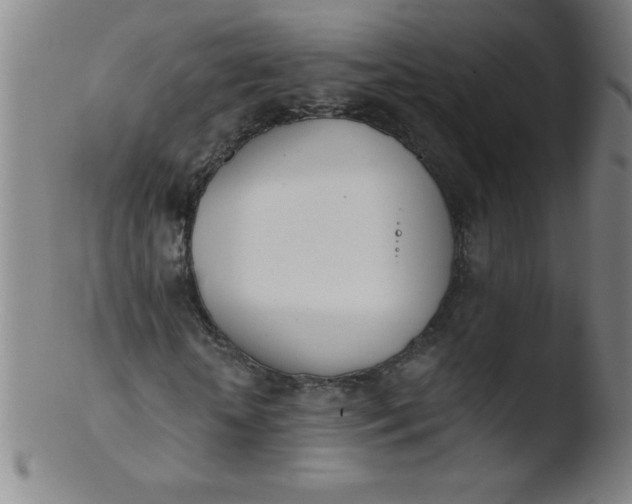 X0000103470818200809261902