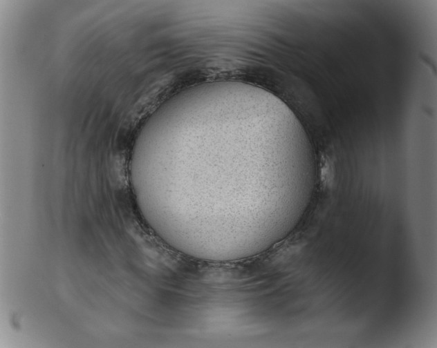 X0000103470819200809261902