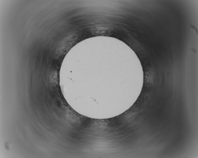 X0000103470820200809261902