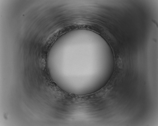 X0000103470821200809261902