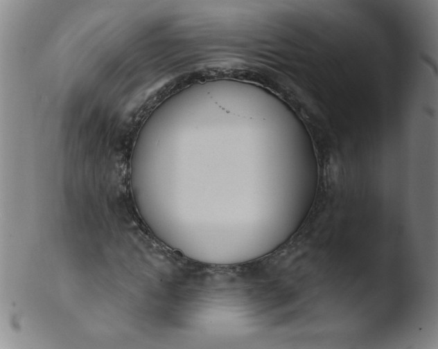 X0000103470822200809261902