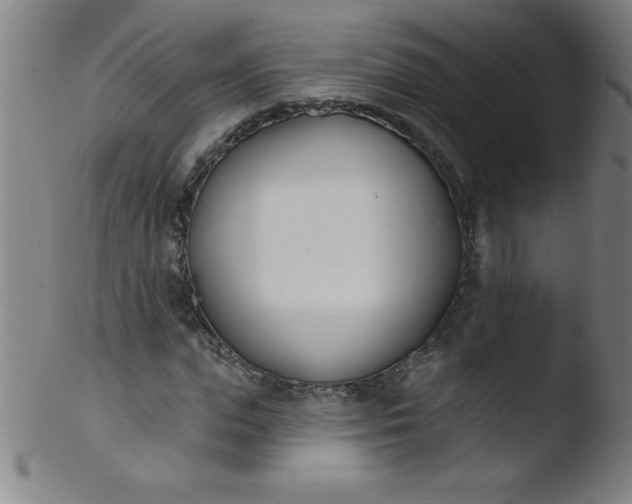 X0000103470823200809261902