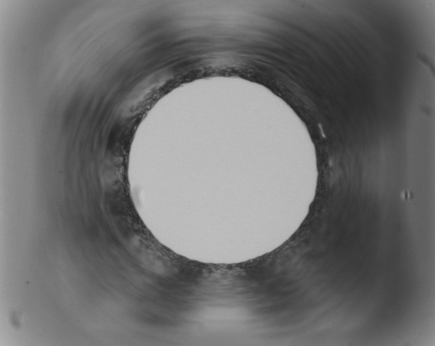 X0000103470824200809261902