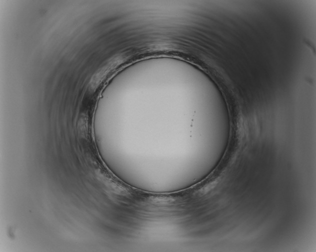 X0000103470825200809261902