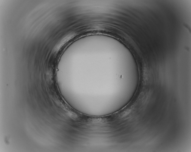 X0000103470826200809261902