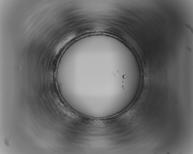 X0000103470827200809261902