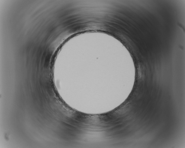 X0000103470828200809261902