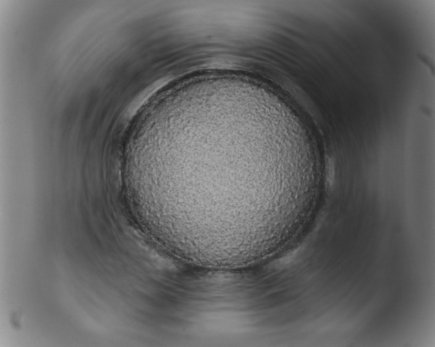 X0000103470829200809261902