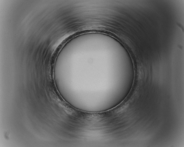 X0000103470830200809261902