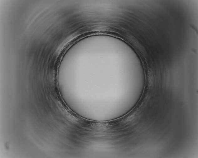 X0000103470831200809261902