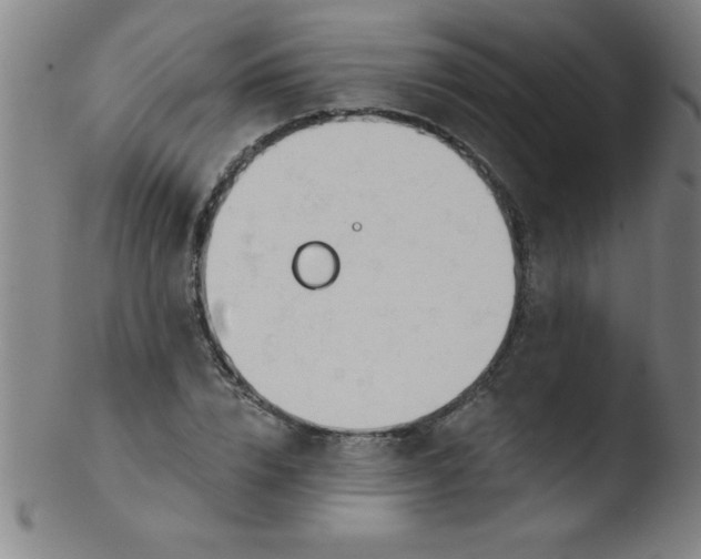 X0000103470832200809261902