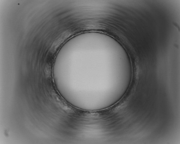 X0000103470833200809261902