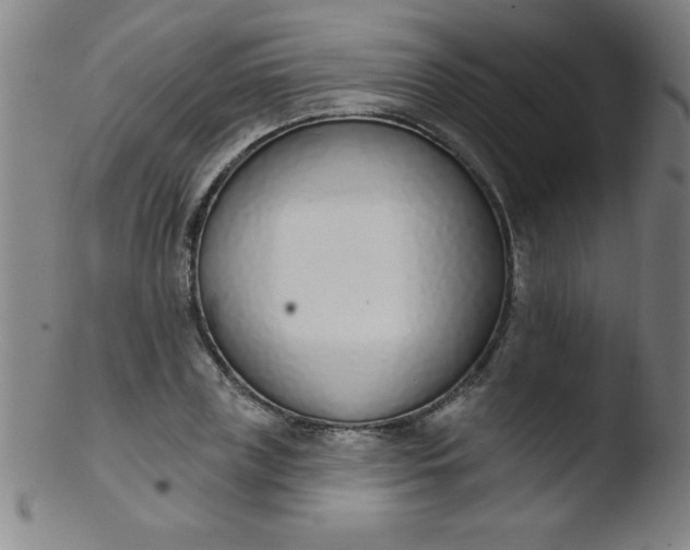 X0000103470835200809261902