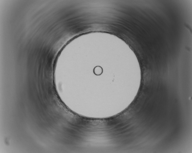 X0000103470836200809261902