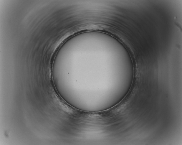 X0000103470837200809261902