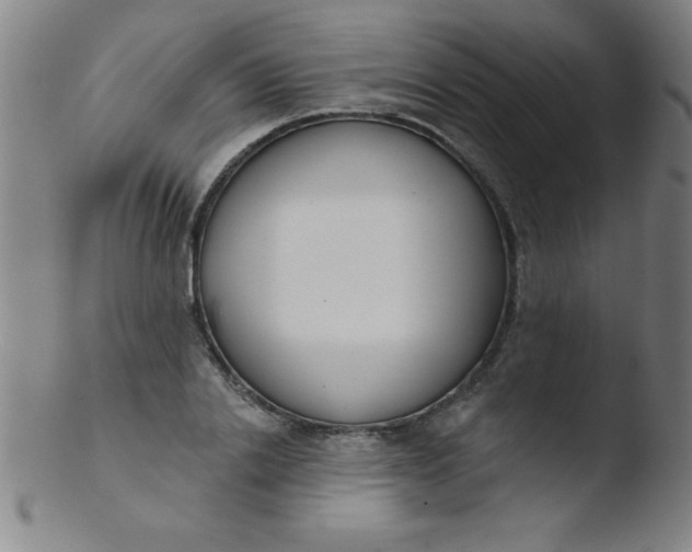 X0000103470838200809261902