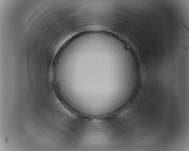 X0000103470839200809261902