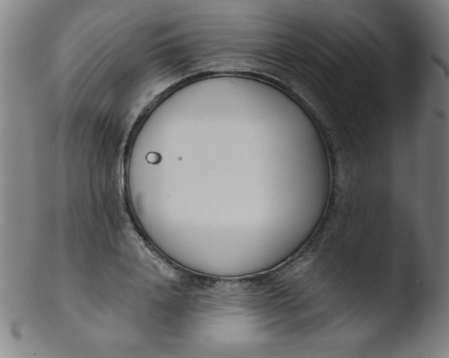 X0000103470840200809261902