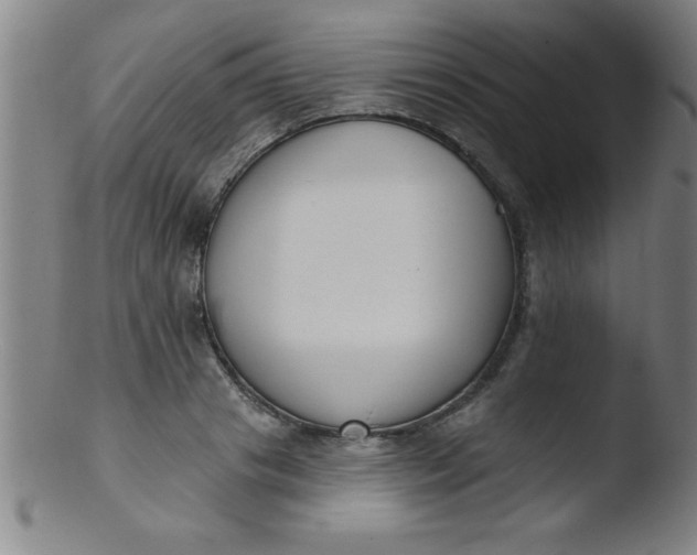 X0000103470841200809261902