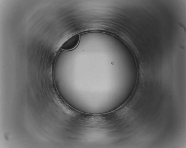 X0000103470842200809261902