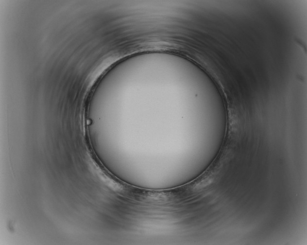 X0000103470843200809261902