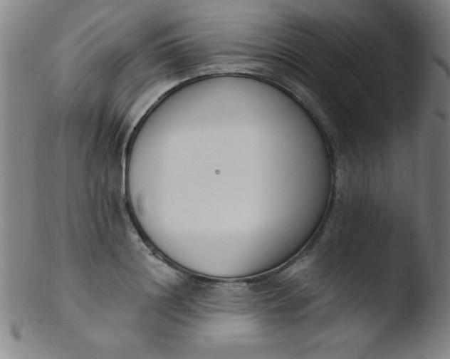 X0000103470844200809261902