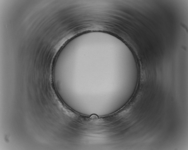 X0000103470845200809261902