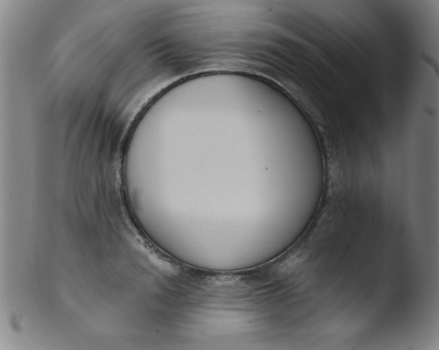 X0000103470846200809261902