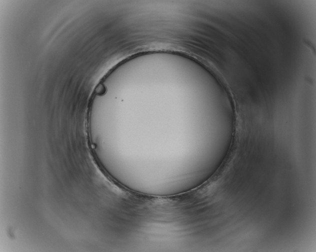 X0000103470847200809261902