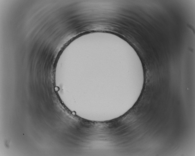 X0000103470848200809261902