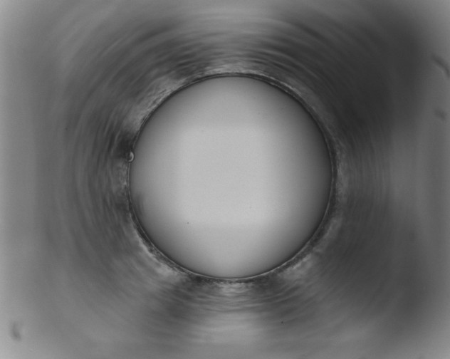 X0000103470849200809261902