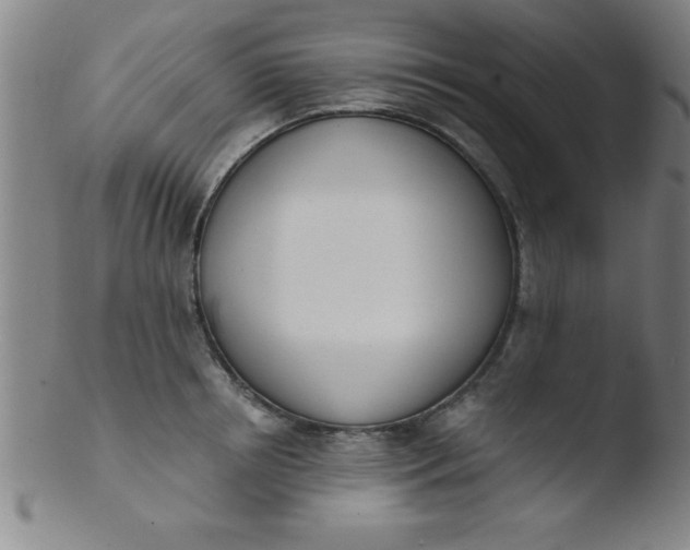 X0000103470850200809261902