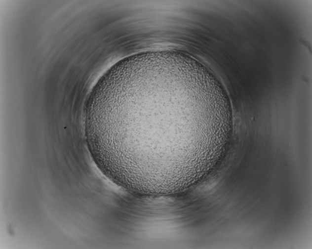 X0000103470851200809261902