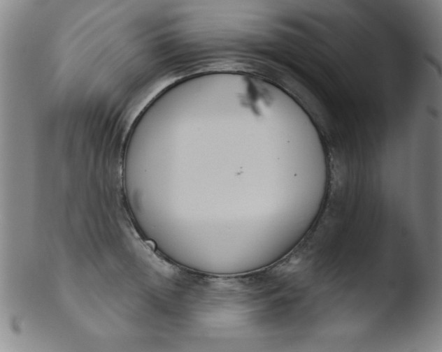 X0000103470852200809261902