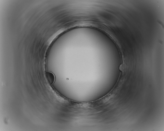 X0000103470853200809261902