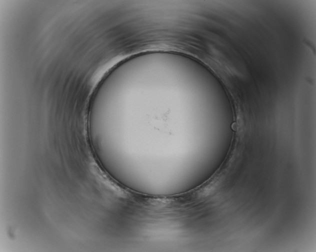 X0000103470854200809261902