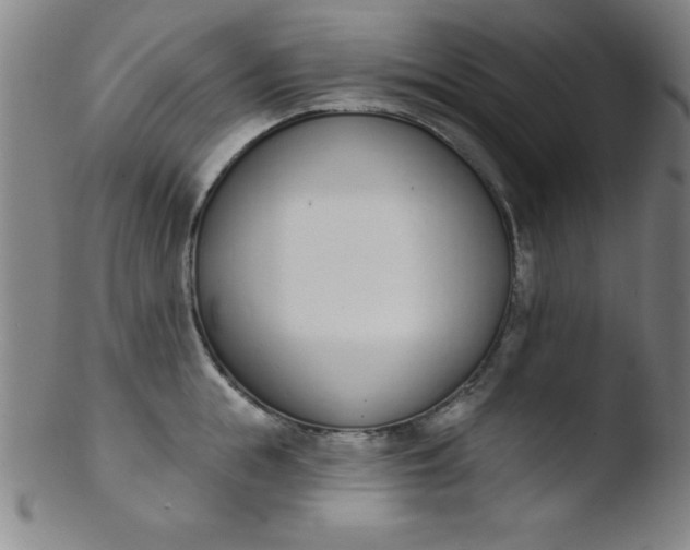 X0000103470855200809261902